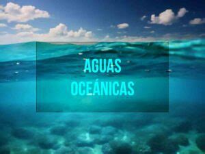 Qué son las aguas oceánicas características e importancia