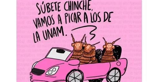 Los Mejores Memes De Las Chinches De La Unam Apartado Mex