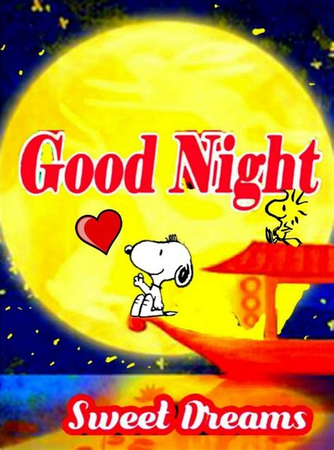 Pin By Susan L Schaap On Goodnight Quotes Funny Good Night Pictures Snoopy Images Goodnight