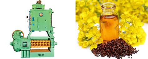 Mustard Oil Extraction Machine Mustard Oil Making Machine Price