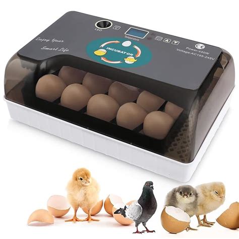 Buy Egg Incubator 12 24 Eggs Fully Automatic Poultry Hatcher Machine Led Candler Automatic Egg