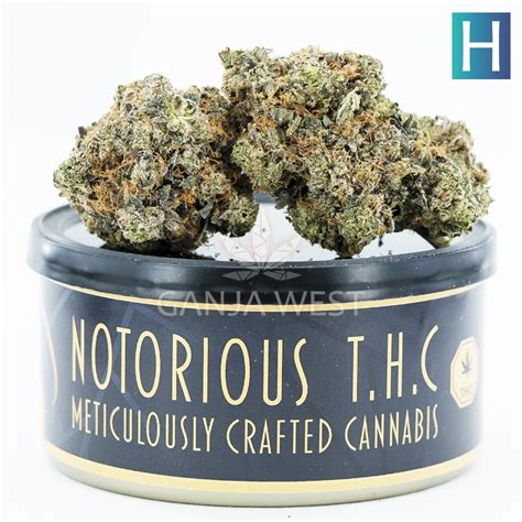 Notorious THC Craft Tiger Punch 7 Grams Ganja West