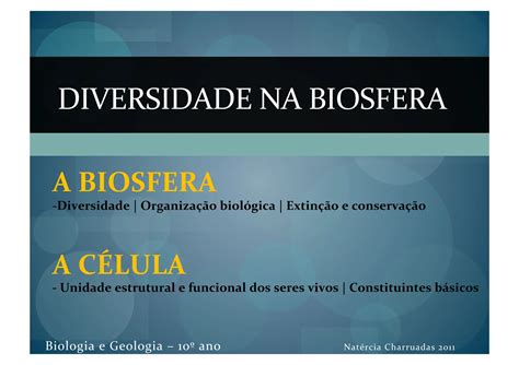 Diversidade Na Biosfera Biologia Cadeias Alimentares Ppt Download Gratuito