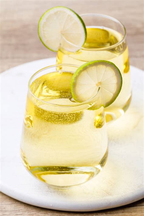 Refreshing and Low Carb Keto White Wine Spritzer - Keto Pots