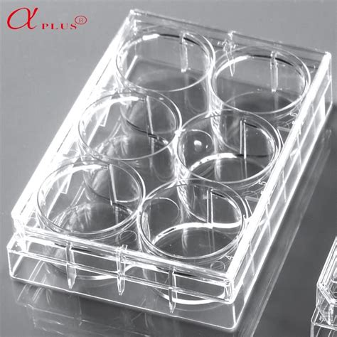 China Lab Medical Plastic Steril Disposable 6 Well Tissue Cell Culture