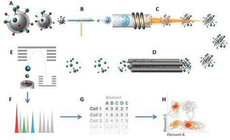 Mass Cytometry | flow