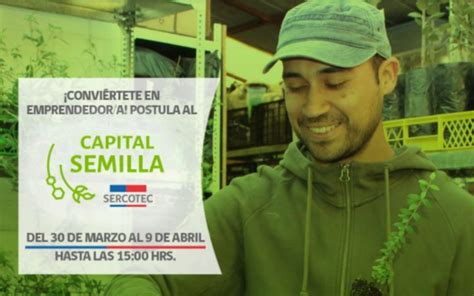 Se Abren Las Convocatorias Al Capital Semilla Ent Rate C Mo Postular