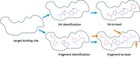 FBDD Fragment Based Drug Discovery BioSolveIT