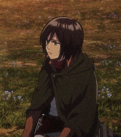 Mikasa Pfp Season 4