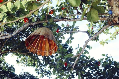 The details : on the Quadrado, Trancoso, Brazil | The Voyageur