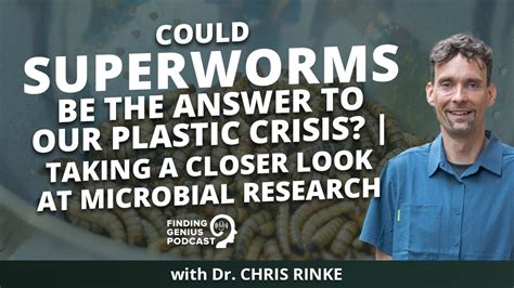 Could Superworms Be The Answer To Our Plastic Crisis Taking A Closer