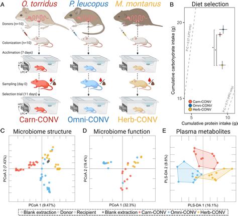 The Gut Microbiome Influences Host Diet Selection Behavior Pnas