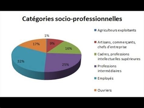 Les Cat Gories Socioprofessionnelles En France Youtube