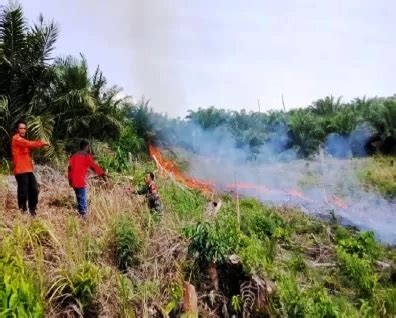 Titik Panas Terdeteksi Di Kuansing Juga Inhu Hotspot Menyala Di