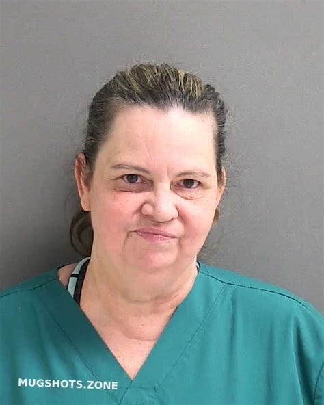 Riedinger Michele Ann Volusia County Mugshots Zone