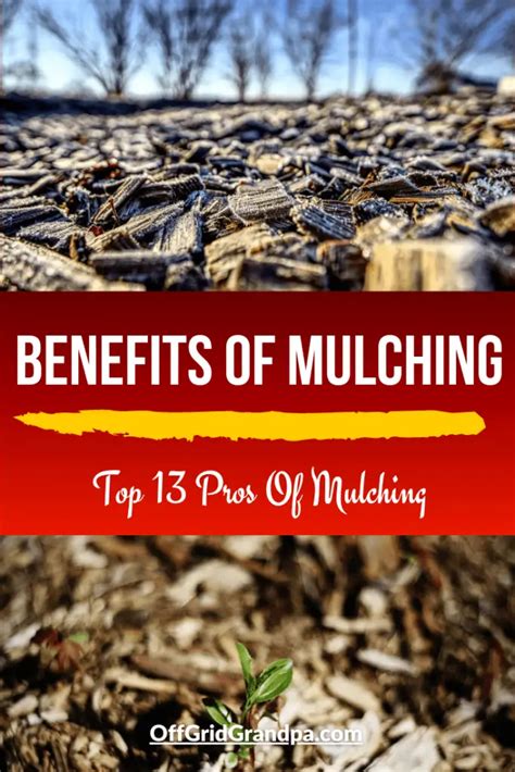 Benefits Of Mulching ( Top 13 Pros Of Mulching ) » Off Grid Grandpa