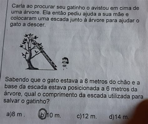 Solved Carla ao procurar seu gatinho o avistou em cima de uma árvore