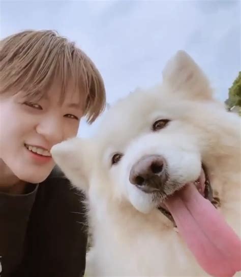 JENO NCT DREAM Jeno Nct Jeno And Samoyed Nct