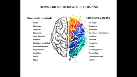 Parte 2 Modelos De Los Cuadrantes Cerebrales De Hermann Youtube