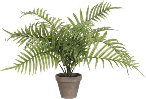 Mica Decorations Areca Palm Plante Artificielle 2x Vert H53 X D45