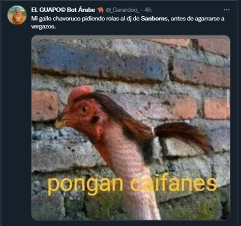 Los Mejores Memes Que Dejó La Supuesta “pelea De Gallos” En Un Sanborns