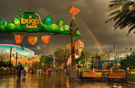 A Bugs Land Disneyland California Adventure Disney California