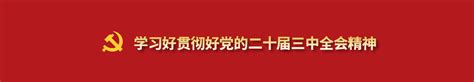 开行动态 高擎改革旗帜 服务国家战略 国开行各单位深入学习贯彻党的二十届三中全会精神三