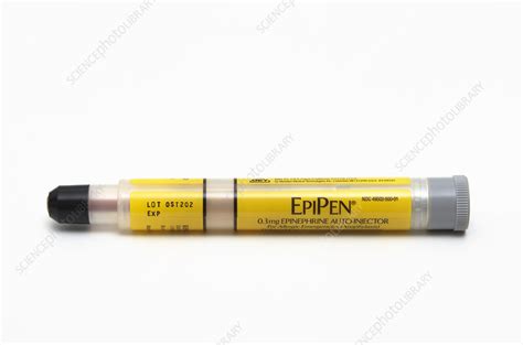 EpiPen (Epinephrine Autoinjector) - Stock Image - C017/4918 - Science ...