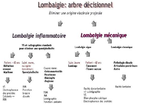 Prise En Charge Rducative Des Lombalgies Chroniques Dr