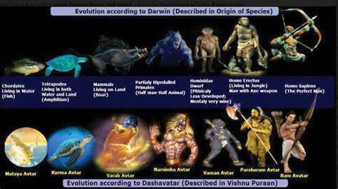 Darwins Theory Of Evolution Resembles Lord Vishnu S Dashavatar