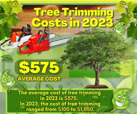 Tree Trimmers Gilbert AZ Tree Service Gilbert Arizona