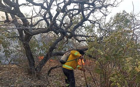 Guerrero Registra Un Incremento Del En Incendios Forestales El