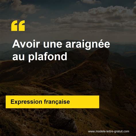 L Expression Avoir Une Araign E Au Plafond Signification Et Origine