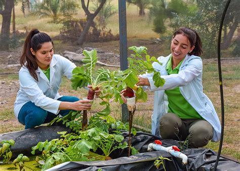 Ingeniería En Tecnología Ambiental Upsin