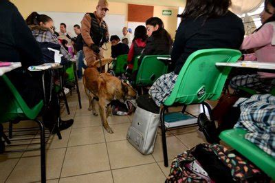 saganoticias Próxima semana inicia operativo Mochila Segura en