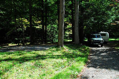 Elkmont - Campsite Photos, Campground Availability Alerts