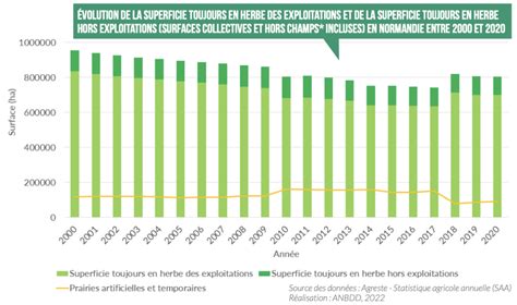 Evolution De La Surface Toujours En Herbe STH Dans La Surface