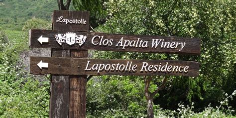 Clos Apalta Lapostolle Winery - Wine Tours and Tastings| Colchagua Wine Tours