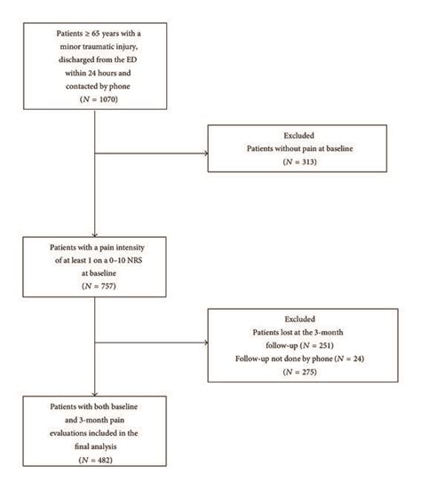 Flow Chart Of Patients Inclusion Download Scientific Diagram