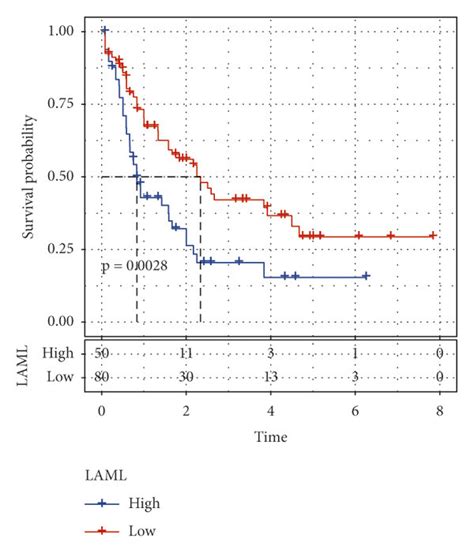 SNV CNV And Methylation Analysis Of CD86 In AML A KM Curve With