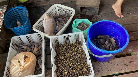 Hasil Menjala Udang Galah Kuyung Apong Datang Ke Rumah Cousin Makan