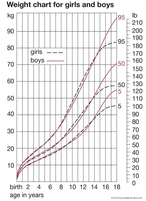 Human Development Growth Data Measurement Trends Britannica