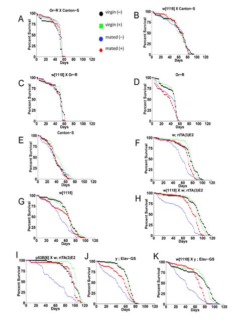 The Effect Of Mating And Mifepristone On Female Life Span In Multiple