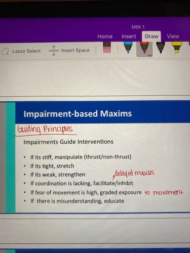 MSK Exam 2 Flashcards Quizlet