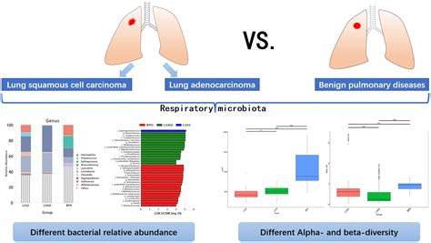 Frontiers Distinct Respiratory Microbiota Associates With Lung Cancer