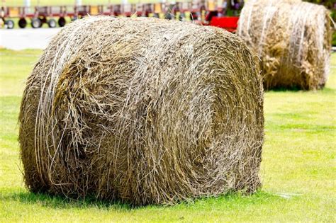 Premium Photo | Round hay bales