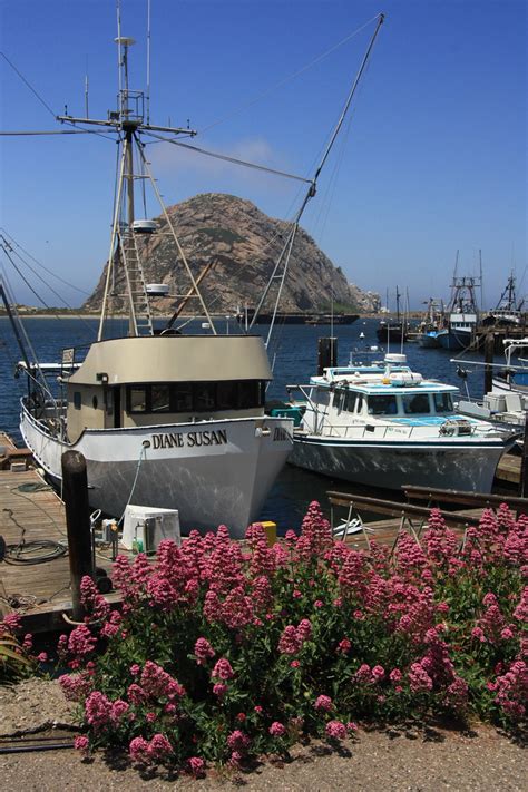 Morro Bay Ca Morro Rock Seen From Across Morrow Bay Don And Suzan