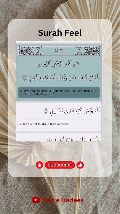 Surah Al Fil Recitation Surah Surahalfil Surahfil Quranrecitation