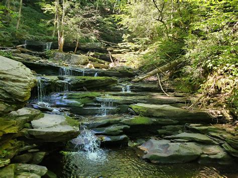 Rickets Glen State Park Scrolller