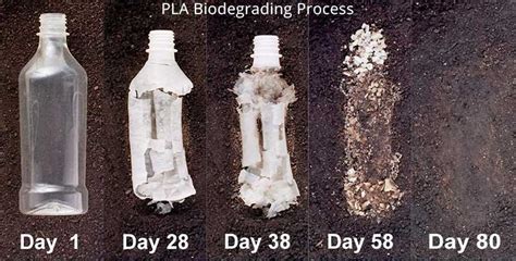 Plásticos Biodegradables En El Tiempo All You News